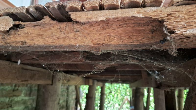 Rotted Timber Repair