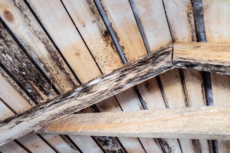 Rotted Timber Repair