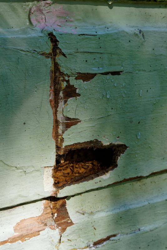 Decay Repair Service in Indianapolis, IN