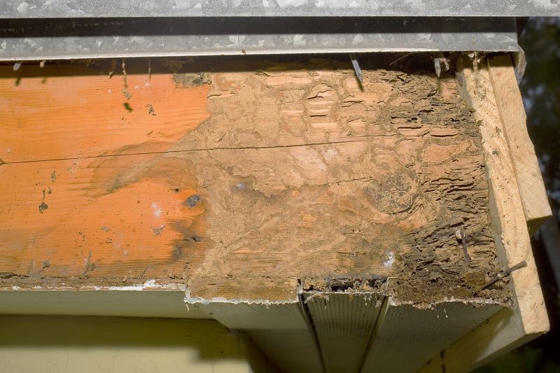 Dry Rot Repair in Wilmington, NC