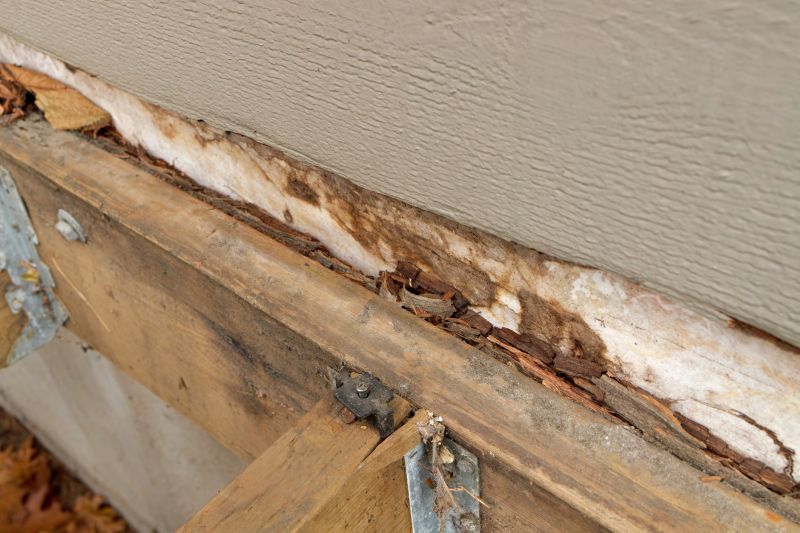 Dry Rot Repair in Denver, CO