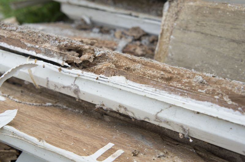 Dry Rot Repair in Overland Park, KS