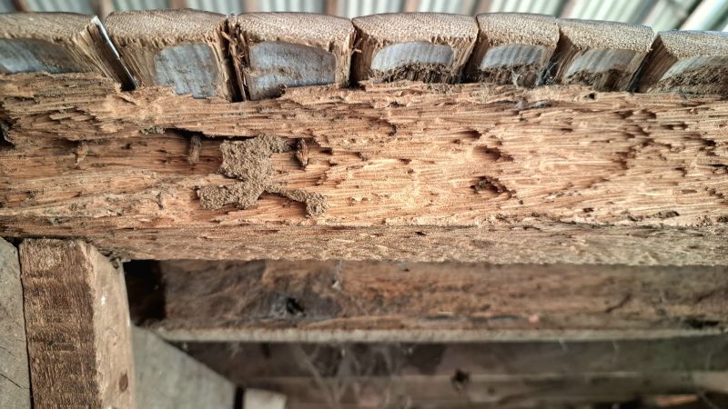 Rotted Timber Repair