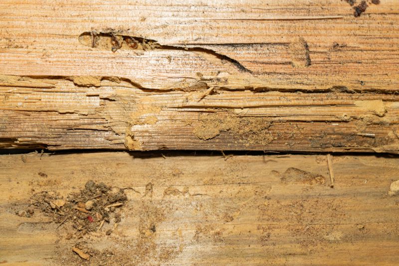 Rotted Timber Repair