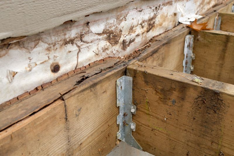 Rotted Timber Repair