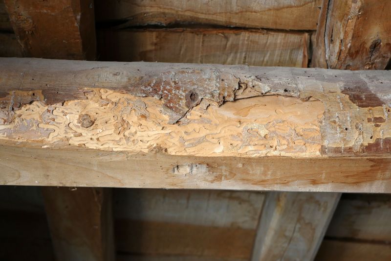 Rotted Timber Repair