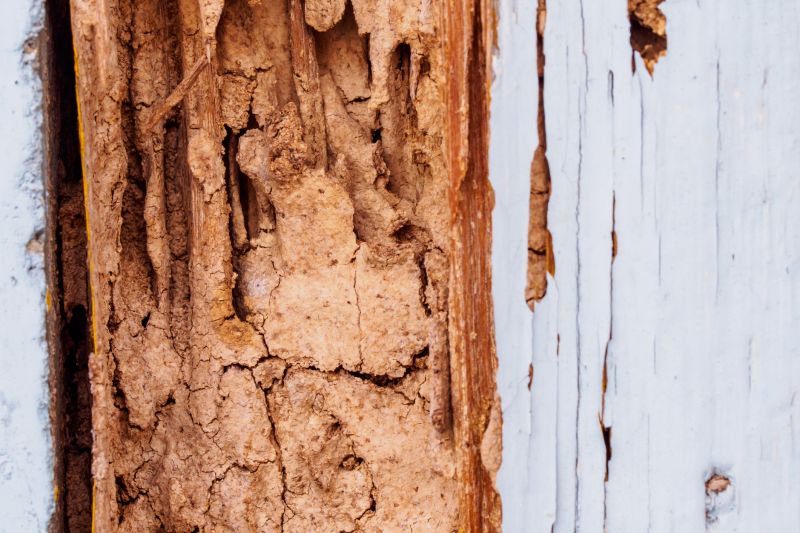 Rotted Timber Repair