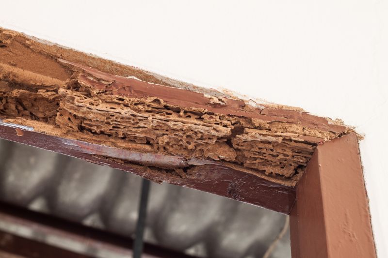Rotten Wood Repair in Kansas City, MO