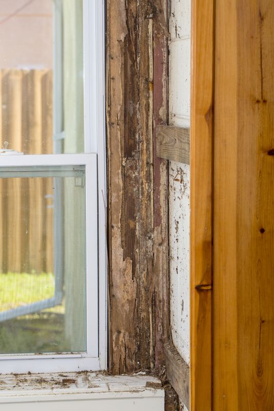 Termite Damage Repair Service in Wilmington, NC