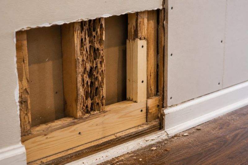 Termite Damage Repair Service in Olathe, KS