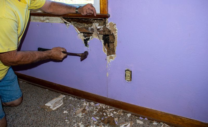Termite Damage Restoration in Olathe, KS