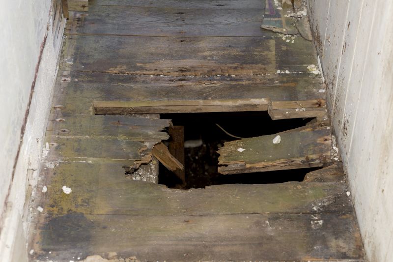 Damaged Timber Inspection