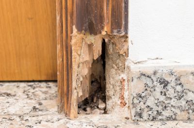 Wood Rot Repair in Kansas City, KS